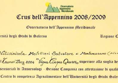 Tastings at Crus dell’Appennino 2008/2009: 85/100 in Taurasi DOCG “Vigna Cinque Querce” 2004