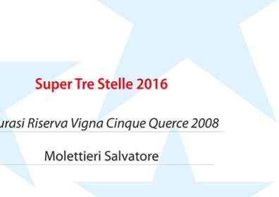 Gold Guide I Vini di Veronelli 2016 – Super Three Stars 2016 for Taurasi Riserva Vigna Cinque Querce 2008